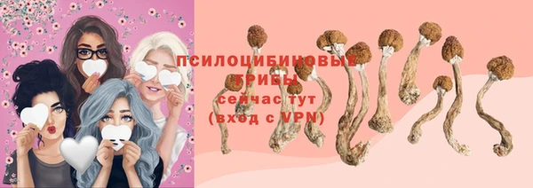 прущие крисы Бронницы