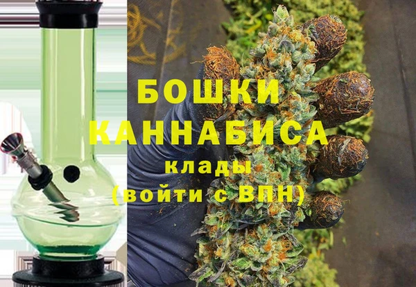 эйфоретик Богданович