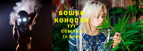 хмурый Богородицк
