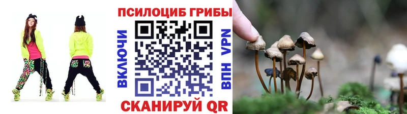 это наркотические препараты  даркнет сайт  Теберда  Псилоцибиновые грибы GOLDEN TEACHER 
