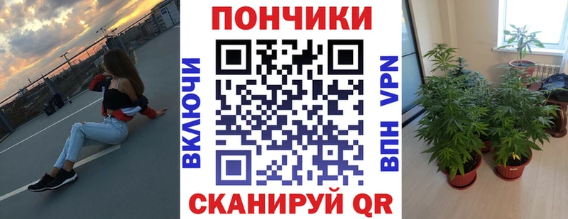 мега ссылки  Теберда  Шишки марихуана Ganja 